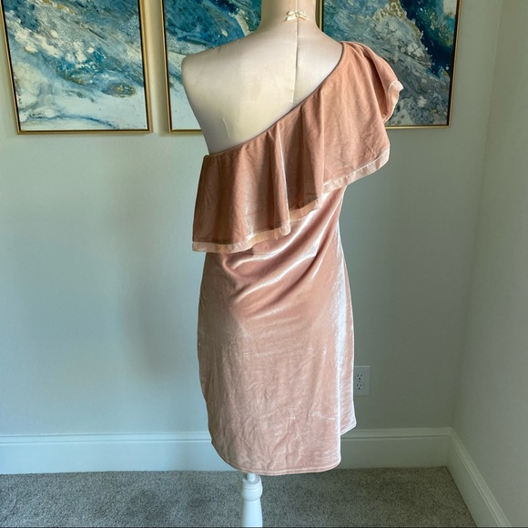 SugarLips pink velvet one shoulder ruffle dress large - Picture 4 of 8